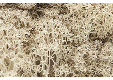 Load image into Gallery viewer, WOODLAND SCENICS L166 LICHEN NATURAL - (PRICE INCLUDES DELIVERY)