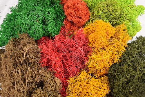 JAVIS REF JMCLS MULTICOLOUR MIX LICHEN - (PRICE INCLUDES DELIVERY)