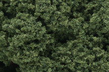Load image into Gallery viewer, WOODLANDS SCENICS FC58 FOLIAGE CLUSTERS MEDIUM GREEN - (PRICE INCLUDES DELIVERY)