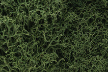 Load image into Gallery viewer, WOODLAND SCENICS L163 LICHEN MEDUIM GREEN - (PRICE INCLUDES DELIVERY)