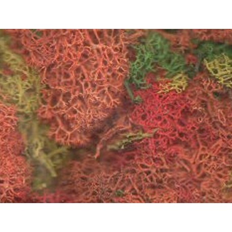 JAVIS REF JBULKMC BULK PACK MIXED COLOUR LICHEN - (PRICE INCLUDES DELIVERY)